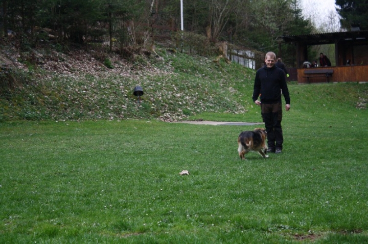 Obedience-Training in der OG Attendorn