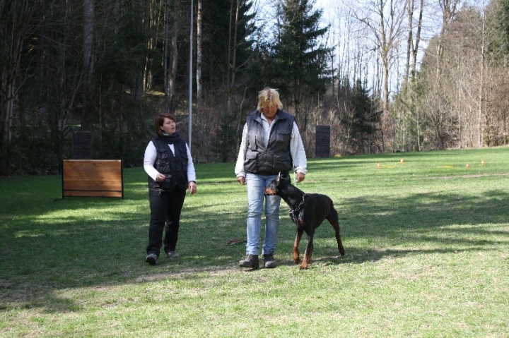 Obedience-Seminar 2013 mit Diana Ripp