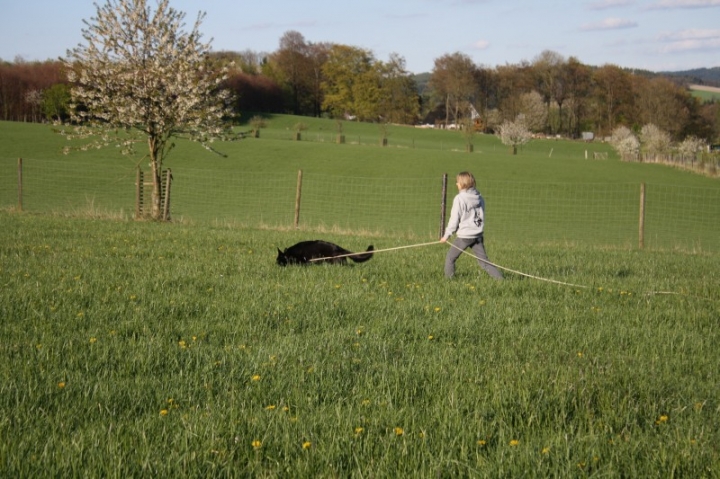 Fährten in der OG Attendorn - 16.04.2014