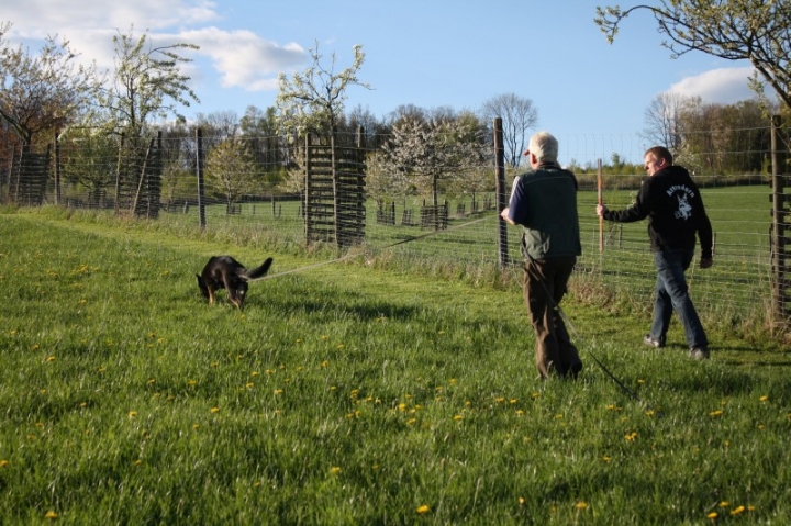 Fährten in der OG Attendorn - 16.04.2014