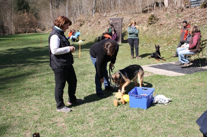 Obedience-Seminar 2013 mit Diana Ripp