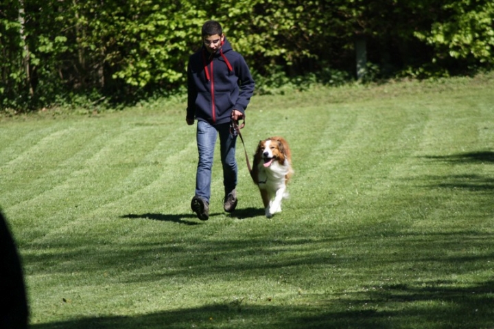 Frühjahrsprüfung 2014