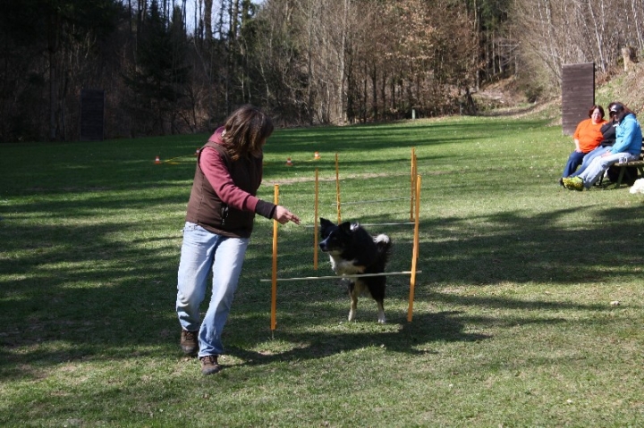 Obedience-Seminar 2013 mit Diana Ripp