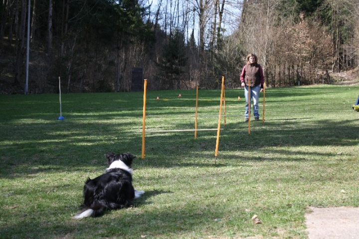 Obedience-Seminar 2013 mit Diana Ripp