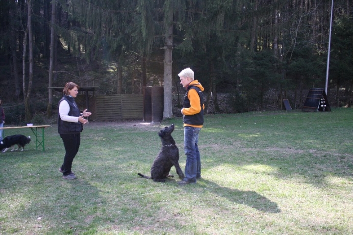 Obedience-Seminar 2013 mit Diana Ripp