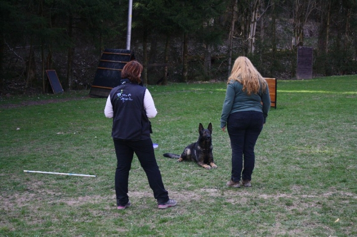 Obedience-Seminar 2013 mit Diana Ripp