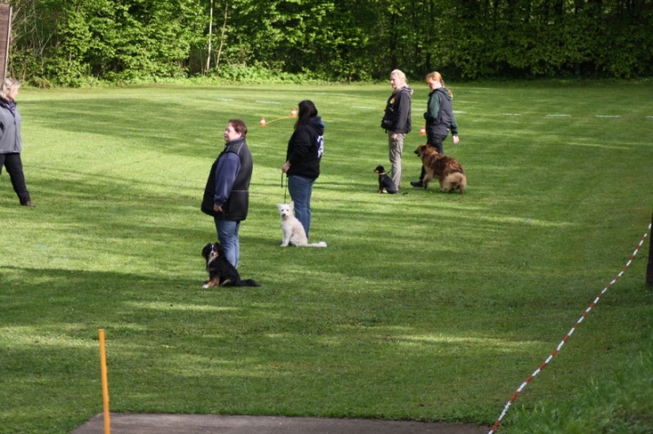 1. Obedience-Prüfung der OG Attendorn