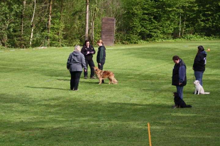 1. Obedience-Prüfung der OG Attendorn