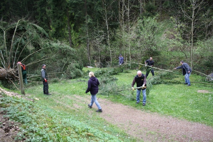 Baumfällaktion auf dem Hundeplatz