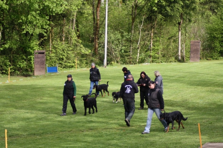 1. Obedience-Prüfung der OG Attendorn