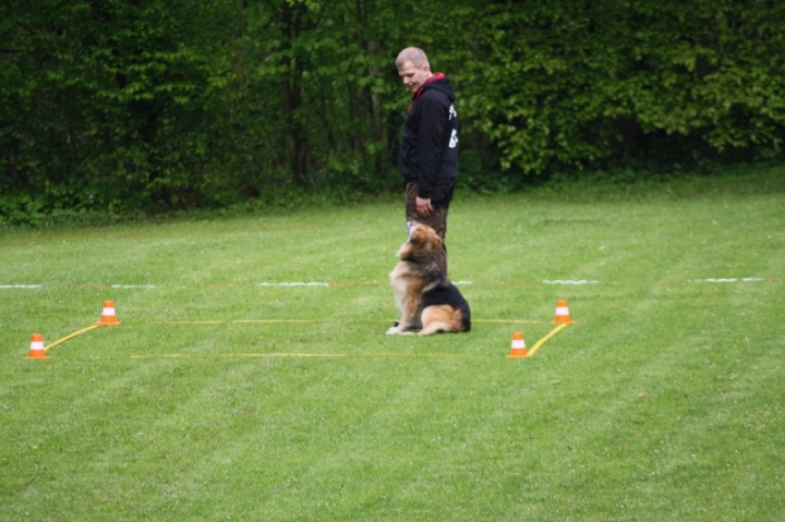 1. Obedience-Prüfung der OG Attendorn