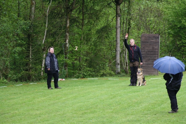 1. Obedience-Prüfung der OG Attendorn