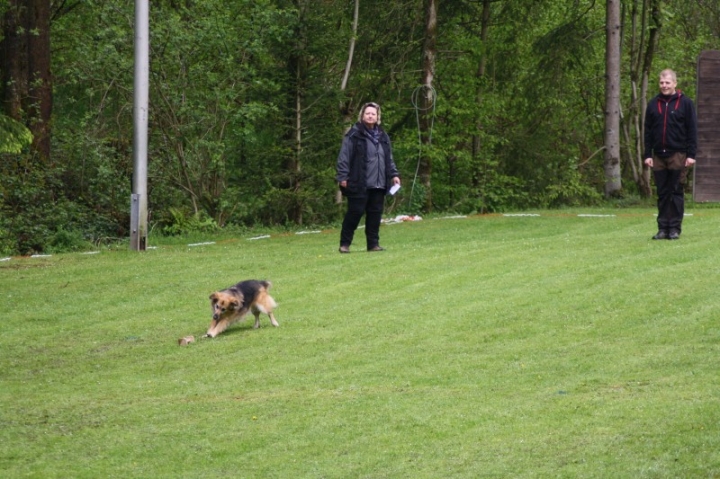 1. Obedience-Prüfung der OG Attendorn