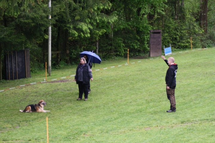 1. Obedience-Prüfung der OG Attendorn