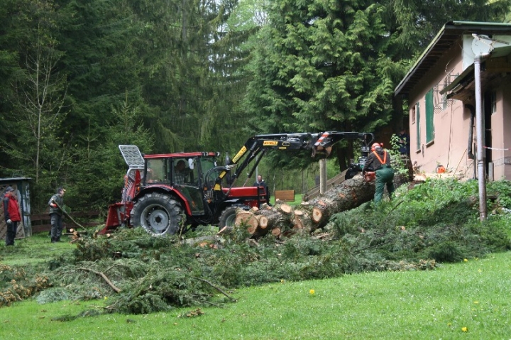 Baumfällaktion auf dem Hundeplatz