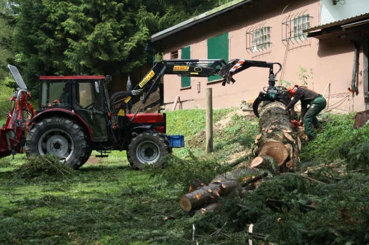 Baumfällaktion auf dem Hundeplatz