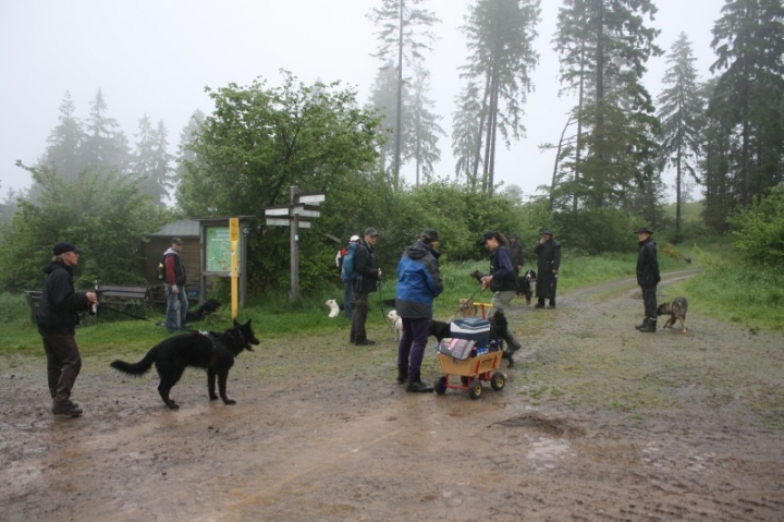 Vatertagswanderung am 29.05.2014