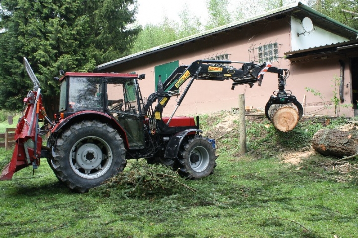 Baumfällaktion auf dem Hundeplatz