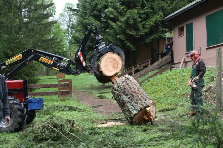 Baumfällaktion auf dem Hundeplatz