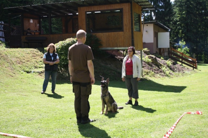 Obedience-Seminar mit Gerlinde Dobler am 22.06.2014