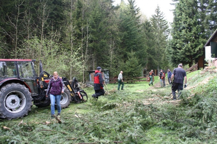 Baumfällaktion auf dem Hundeplatz