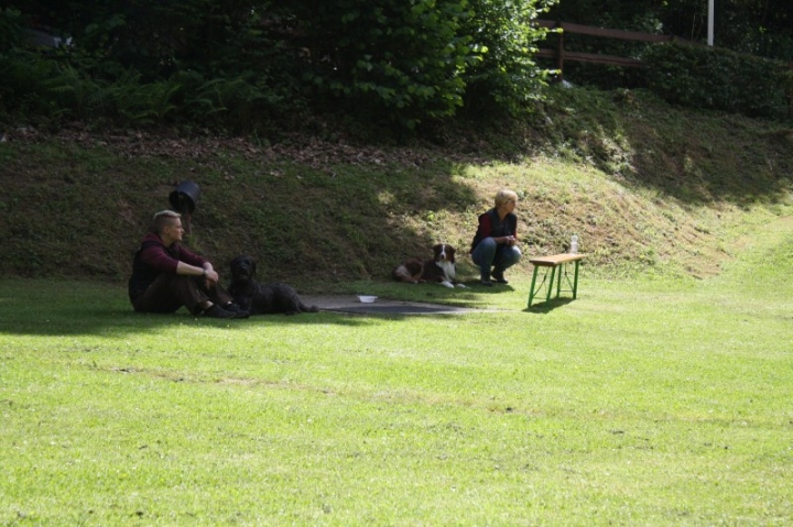 Obedience-Seminar mit Gerlinde Dobler am 22.06.2014