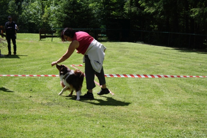 Obedience-Seminar mit Gerlinde Dobler am 22.06.2014