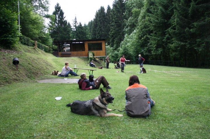 Obedience-Seminar mit Gerlinde Dobler am 22.06.2014