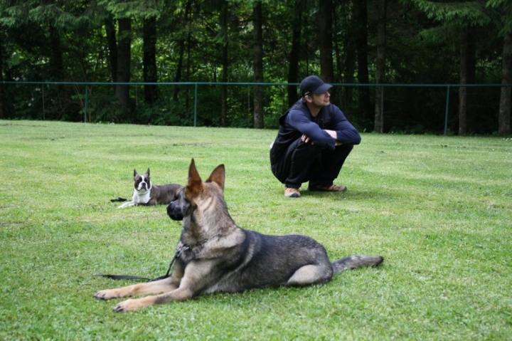 Obedience-Seminar mit Gerlinde Dobler am 22.06.2014