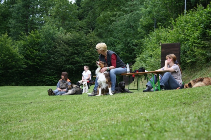 Obedience-Seminar mit Gerlinde Dobler am 22.06.2014