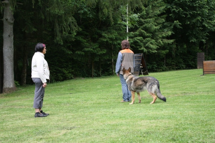 Obedience-Seminar mit Gerlinde Dobler am 22.06.2014