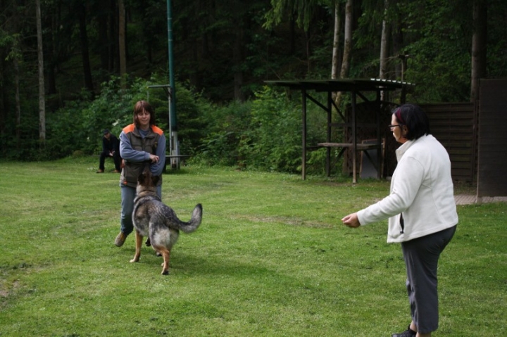 Obedience-Seminar mit Gerlinde Dobler am 22.06.2014