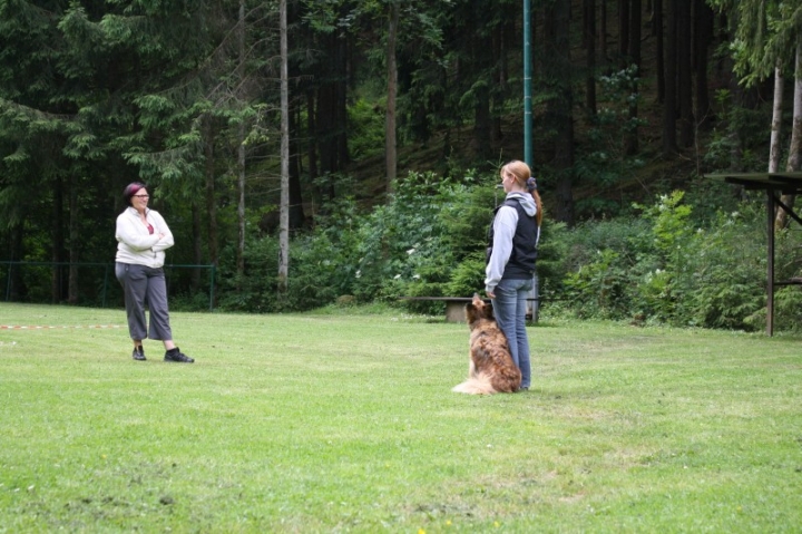 Obedience-Seminar mit Gerlinde Dobler am 22.06.2014