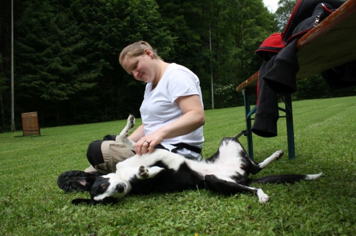 Obedience-Seminar mit Gerlinde Dobler am 22.06.2014