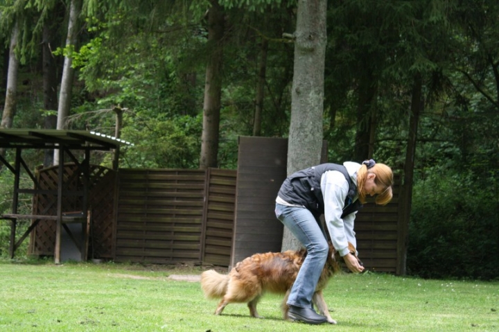 Obedience-Seminar mit Gerlinde Dobler am 22.06.2014