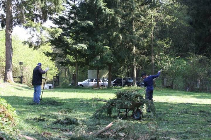 Baumfällaktion auf dem Hundeplatz