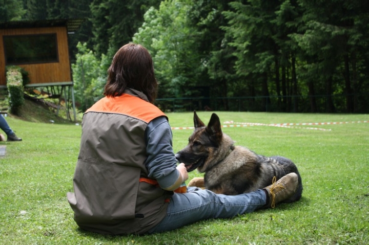 Obedience-Seminar mit Gerlinde Dobler am 22.06.2014