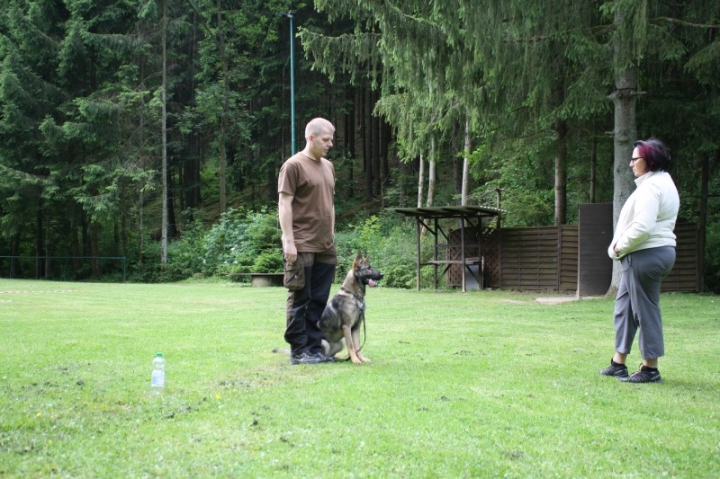 Obedience-Seminar mit Gerlinde Dobler am 22.06.2014