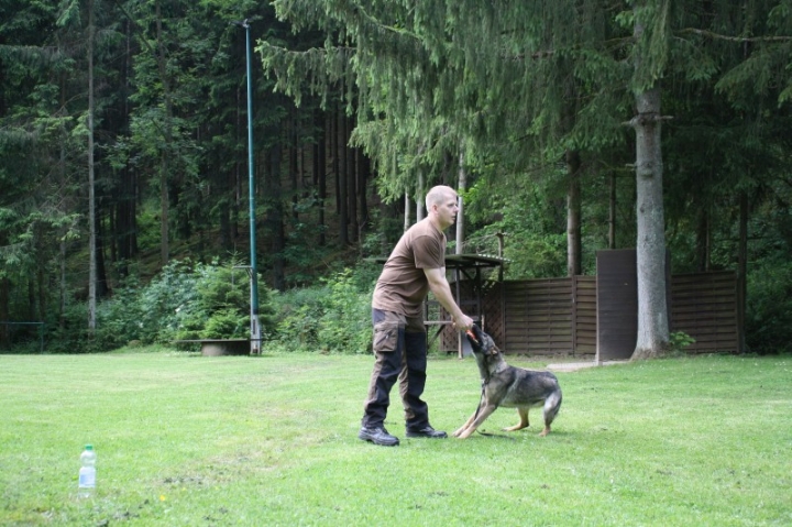 Obedience-Seminar mit Gerlinde Dobler am 22.06.2014