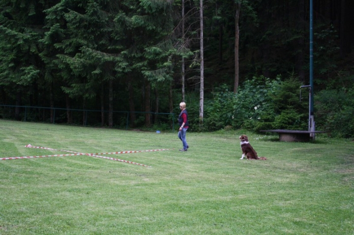 Obedience-Seminar mit Gerlinde Dobler am 22.06.2014