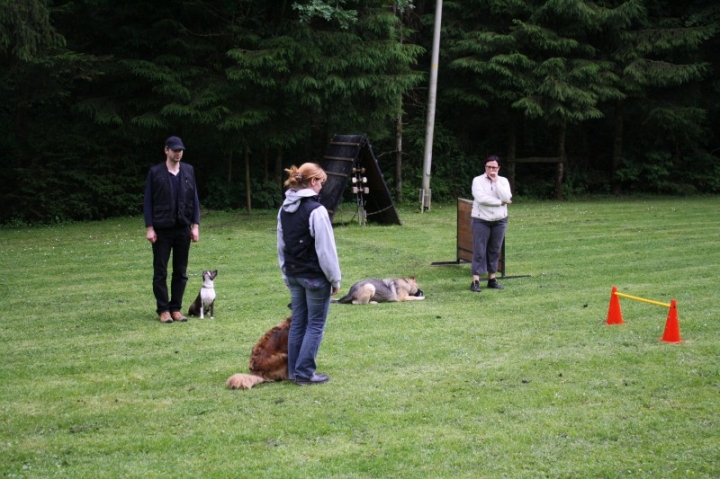 Obedience-Seminar mit Gerlinde Dobler am 22.06.2014