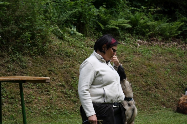 Obedience-Seminar mit Gerlinde Dobler am 22.06.2014