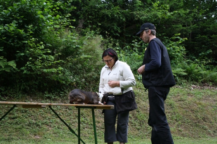 Obedience-Seminar mit Gerlinde Dobler am 22.06.2014