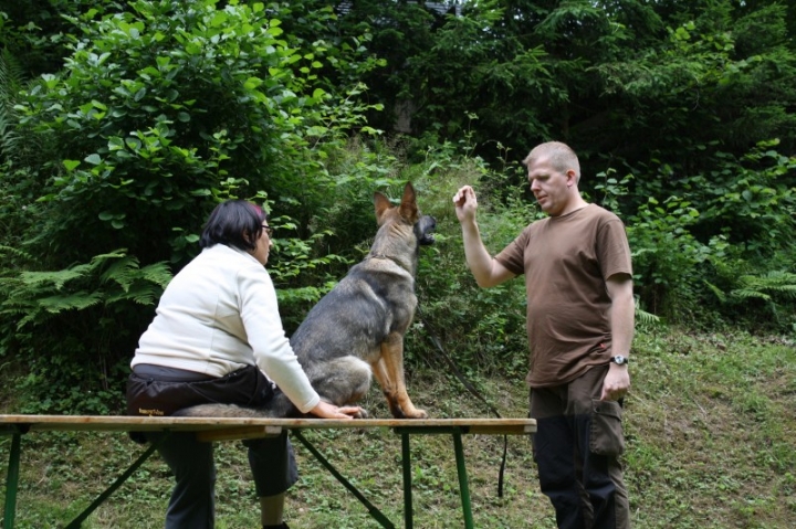 Obedience-Seminar mit Gerlinde Dobler am 22.06.2014