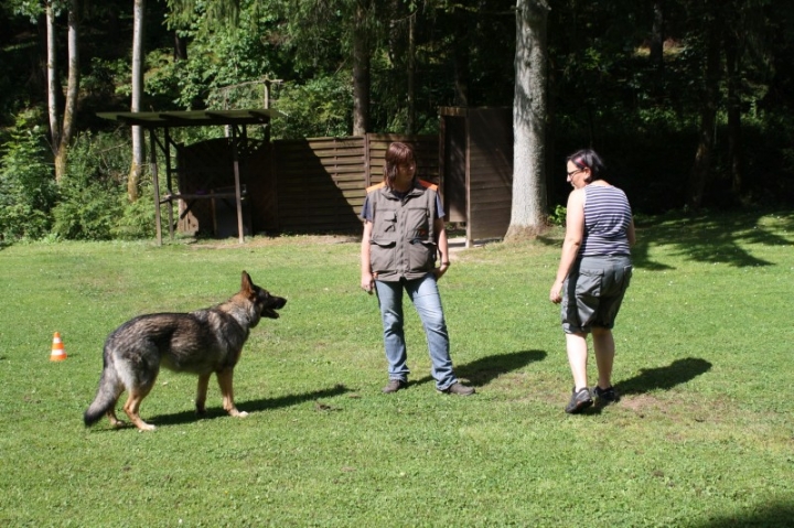 Obedience-Seminar mit Gerlinde Dobler am 06.07.2014