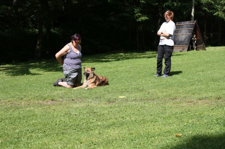 Obedience-Seminar mit Gerlinde Dobler am 06.07.2014