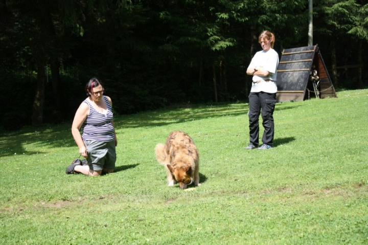 Obedience-Seminar mit Gerlinde Dobler am 06.07.2014