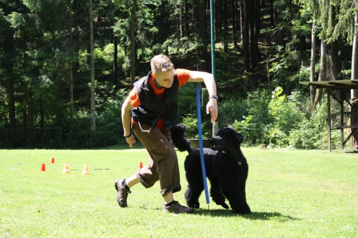 Obedience-Seminar mit Gerlinde Dobler am 06.07.2014