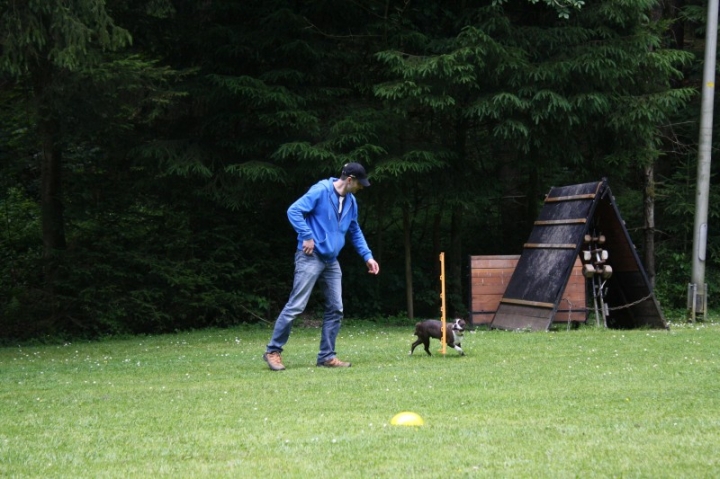 Obedience-Seminar mit Gerlinde Dobler am 06.07.2014