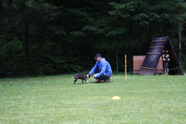 Obedience-Seminar mit Gerlinde Dobler am 06.07.2014